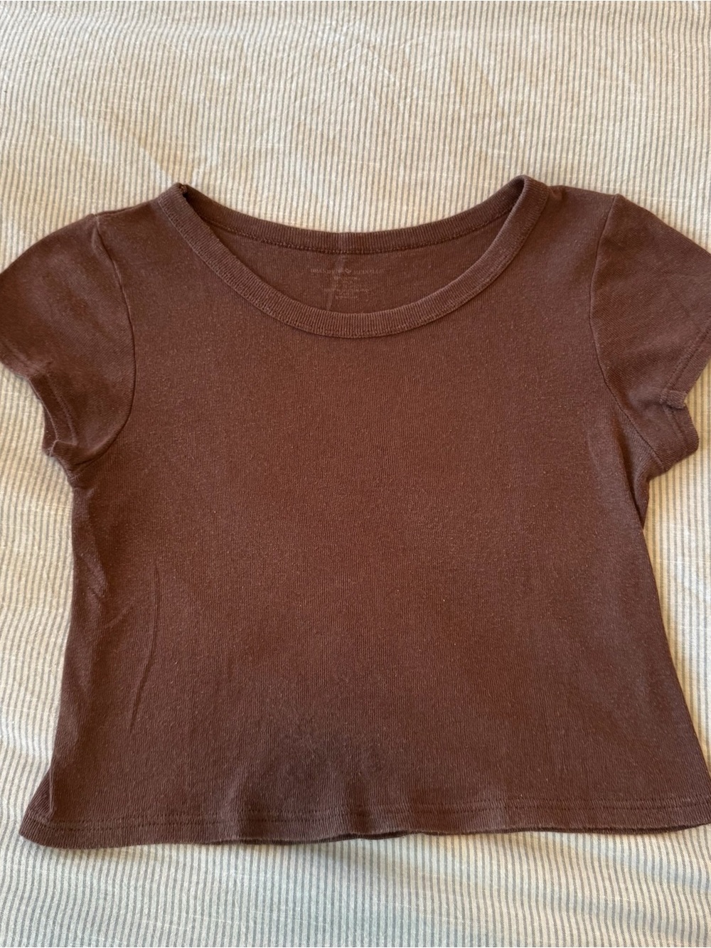 Brandy Melville Cropped Brown Short Sleeve Top